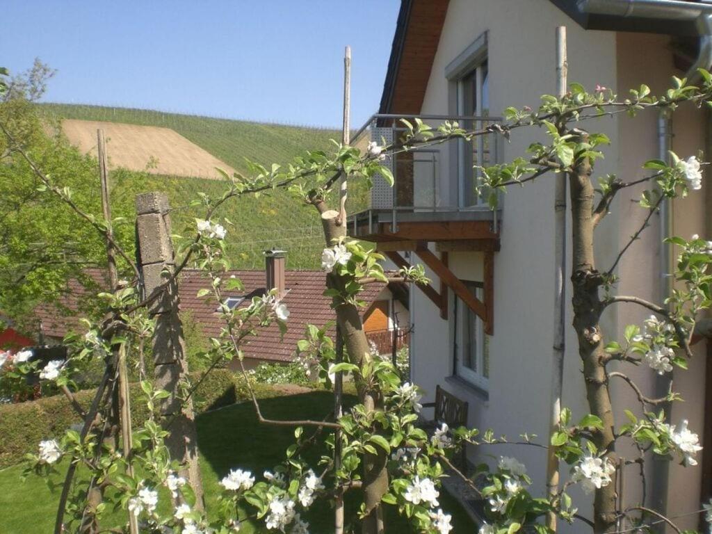 Appartement Kastanienhalde *